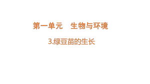 2022新教科版五年级下册科学1.3绿豆苗的生长ppt课件(01).pptx