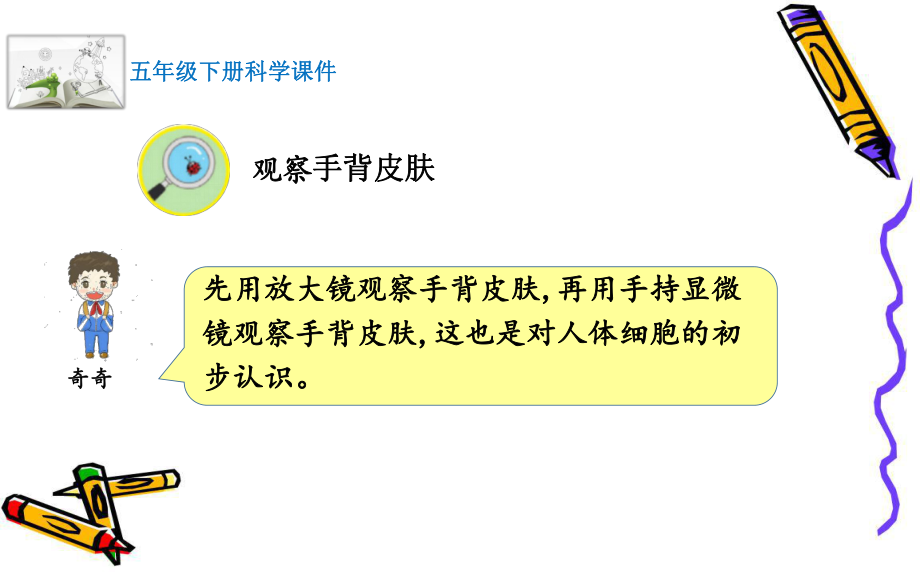 2022最新苏教版五年级下册科学第一单元《显微镜下的生命世界》课件.pptx_第3页