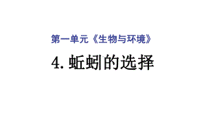 2022新教科版五年级下册科学1.4蚯蚓的选择ppt课件(03).ppt