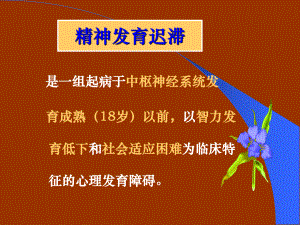 精神病课件：精神发育迟滞教学.ppt