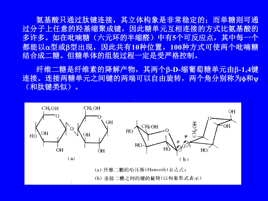 生物大分子课件：bio-coures-7.ppt_第2页