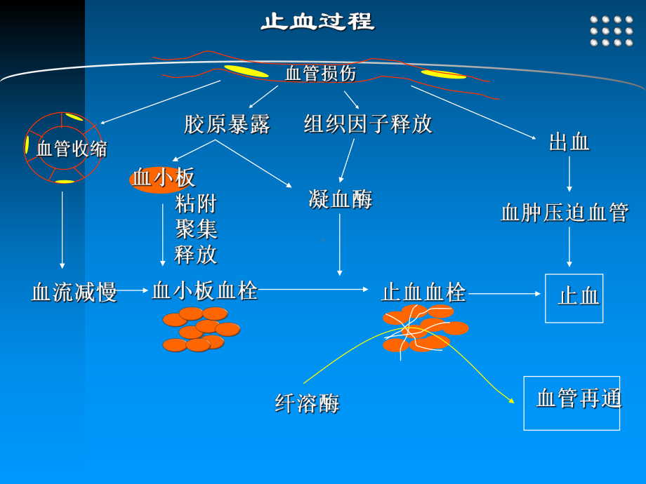 外科二课件：出血性疾病.ppt_第3页