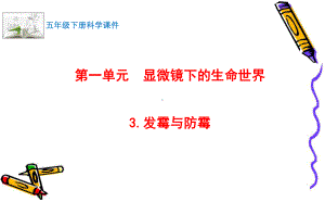 2022最新苏教版科学五年级下册3.发霉与防霉 课件.pptx