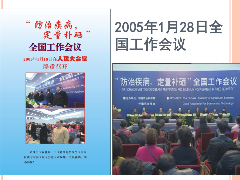 中国全民补硒工程发展历程改动版.ppt_第3页