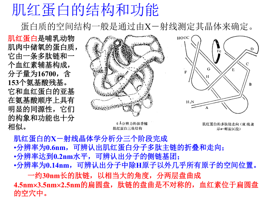 生物大分子课件：bio-coures-4.ppt_第1页