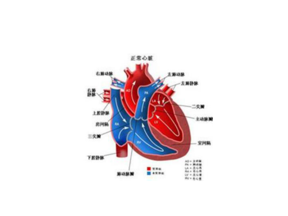 外科一课件：心脏病.ppt_第2页