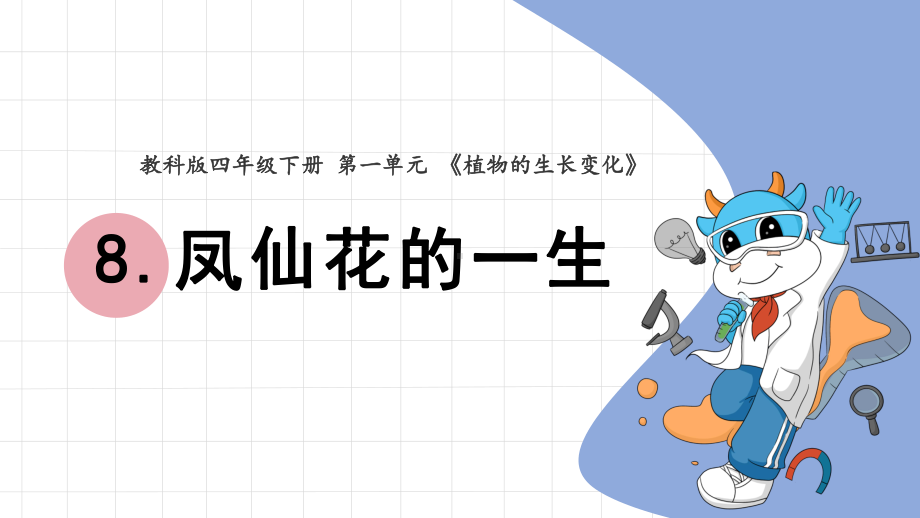 2022新教科版四年级下册科学 1.8凤仙花的一生ppt课件.pptx_第1页