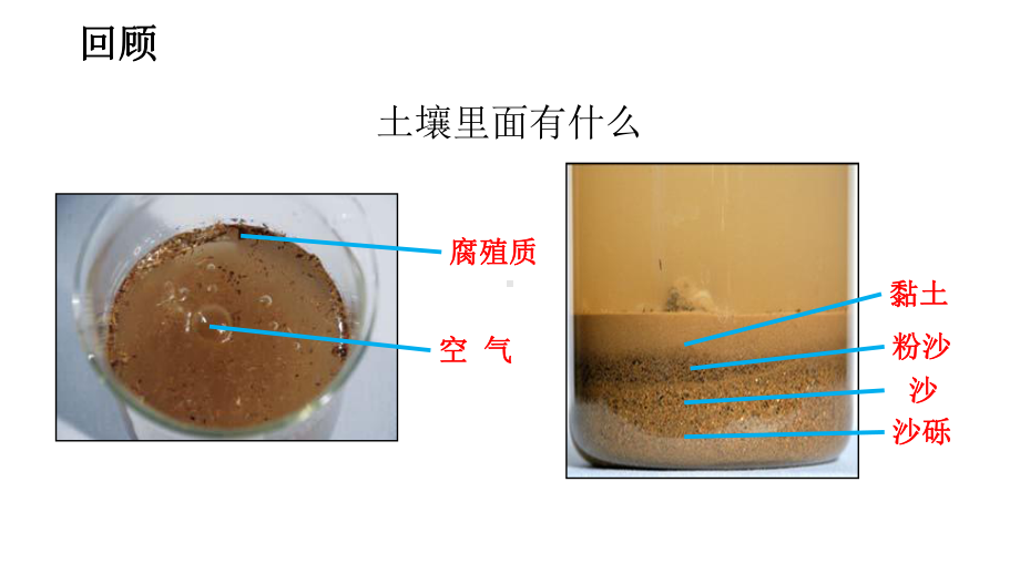 2022新教科版四年级下册科学3.7比较不同的土壤 ppt课件.pptx_第2页