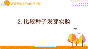 新教科版五年级科学下册课件1.2比较种子发芽实验.pptx