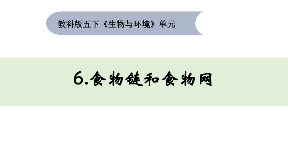 2022新教科版五年级下册科学1-6《食物链和食物网》ppt课件.pptx_第1页