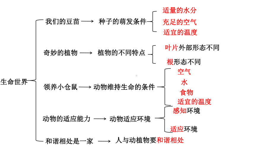 大象版四年级下册科学第一单元生命世界复习课ppt课件.pptx_第2页