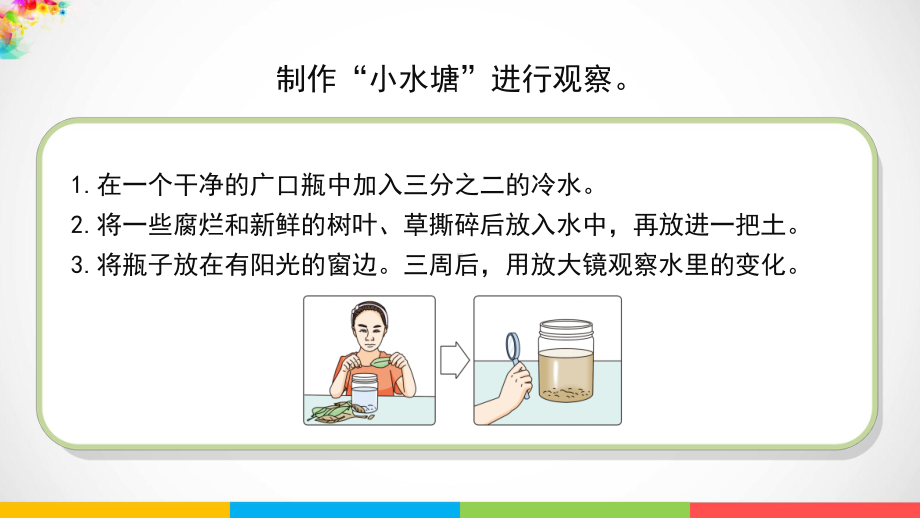 2022新苏教版五年级下册科学1.2《微小的生命体》ppt课件.pptx_第2页