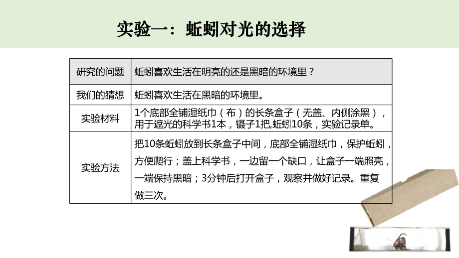 2022新教科版五年级下册科学1.4蚯蚓的选择ppt课件.pptx_第3页