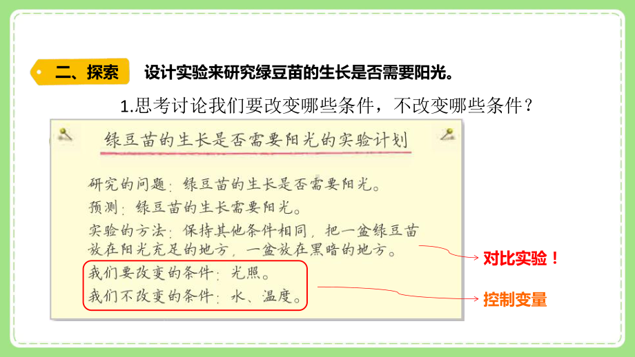 新教科版五年级科学下册课件1.3绿豆苗的生长.pptx_第3页