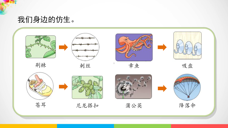 2022新苏教版五年级下册科学2.5《生物的启示》ppt课件.pptx_第3页