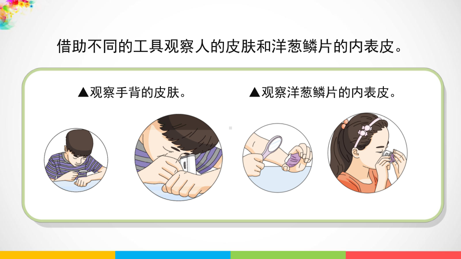 2022新苏教版五年级下册科学1.1《搭建生命体的“积木”》ppt课件.pptx_第2页