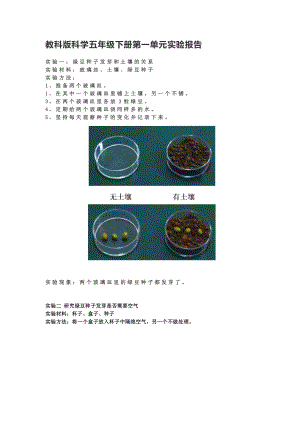 2022新教科版五年级下册科学第一单元生物与环境实验报告.doc