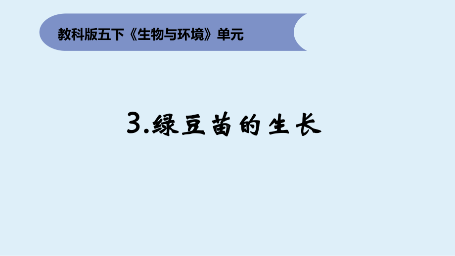 2022新教科版五年级下册科学1.3绿豆苗的生长ppt课件 (2).pptx_第1页