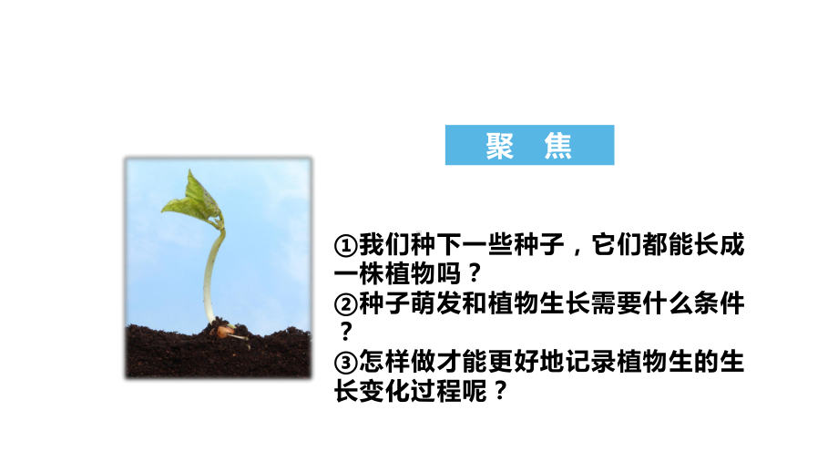 四年级科学下册教科版1.2《种植凤仙花》课件.ppt_第3页