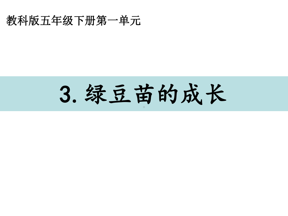 2022新教科版五年级下册科学1-3《绿豆苗的成长》ppt课件.ppt_第1页