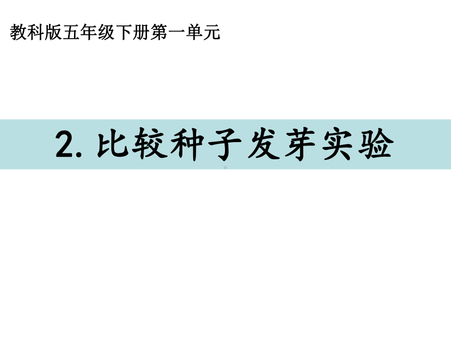 2022新教科版五年级下册科学1-2《比较种子发芽实验》ppt课件.ppt_第1页