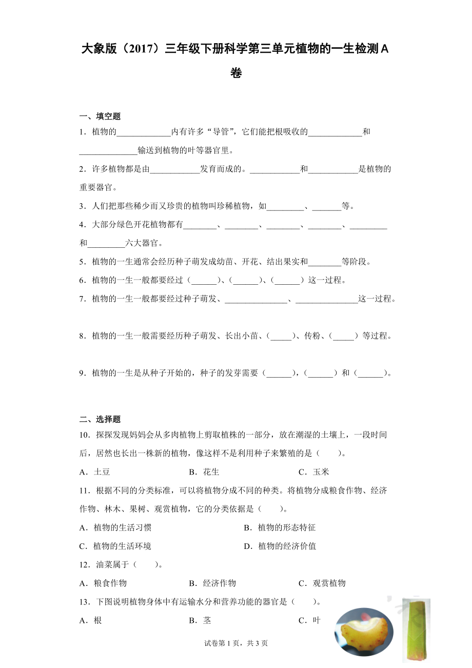 2022大象版三年级下册科学第三单元植物的一生达标测试题（一）含答案.zip