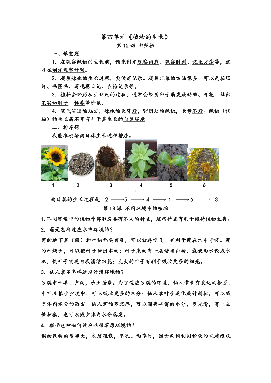 2022春青岛版（六三制）四年级下册科学第四单元《植物的生长》知识点.doc_第1页