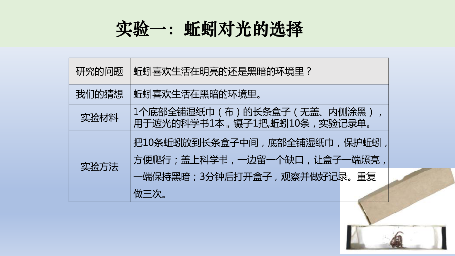 小学科学教科版五年级下册第一单元第4课《蚯蚓的选择》课件16（2022新版）.pptx_第3页