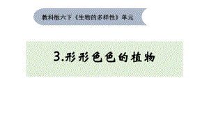 2022新教科版六年级下册科学2.3.《形形色色的植物》（课件12张PPT）.pptx