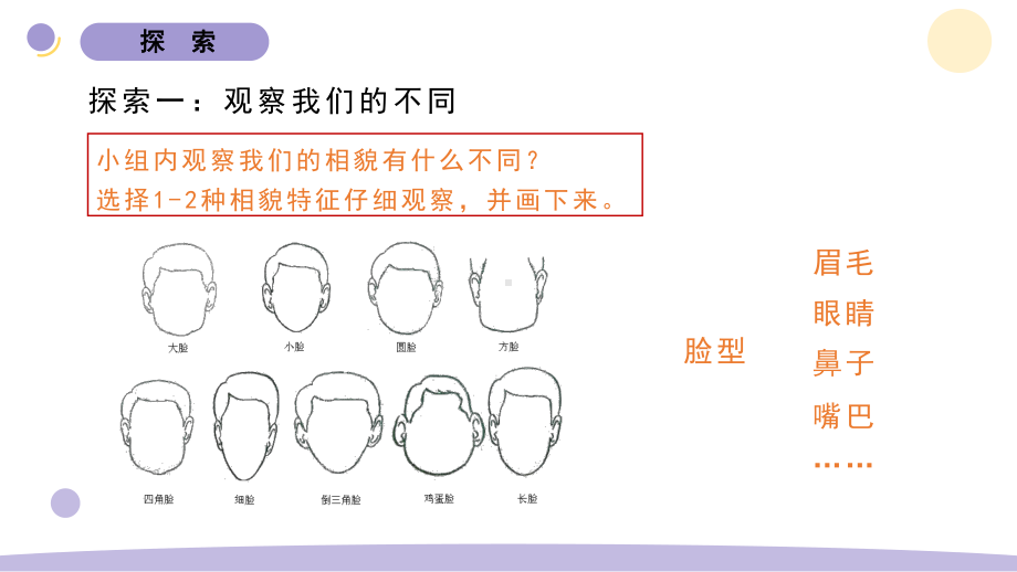 2022新教科版六年级下册科学2.5《相貌各异的我们》 ppt课件.pptx_第3页