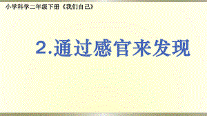 小学科学教科版二年级下册第一单元第2课《通过感官来发现》课件9.pptx