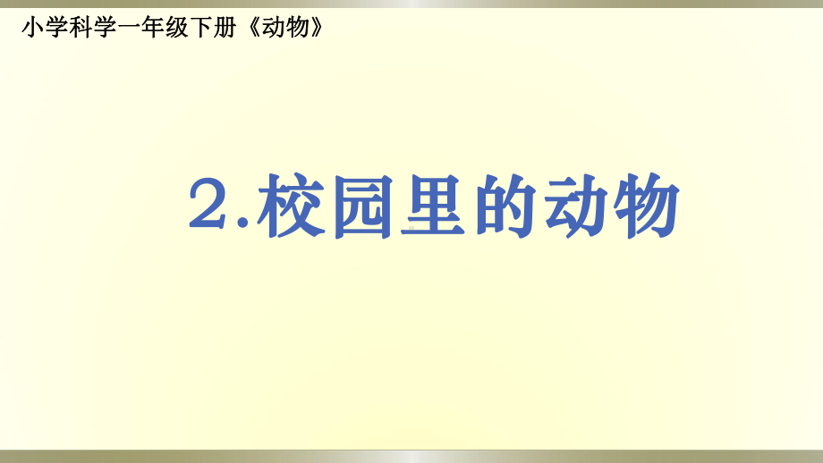 小学科学教科版一年级下册第二单元第2课《校园里的动物》课件9.pptx_第1页