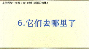 小学科学教科版一年级下册第一单元第6课《它们去哪里了》课件9.pptx