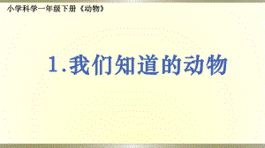 小学科学教科版一年级下册第二单元第1课《我们知道的动物》课件9.pptx