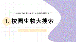 2022新教科版六年级下册科学2.1《校园生物大搜索》 ppt课件.pptx