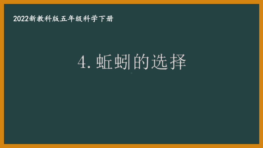 2022新教科版小学科学五年级下册第一单元第4课“蚯蚓的选择”课件.pptx_第1页