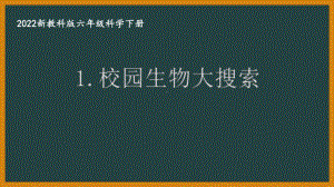 2022新教科版小学科学六年级下册第二单元第1课“校园生物大搜索”课件.pptx