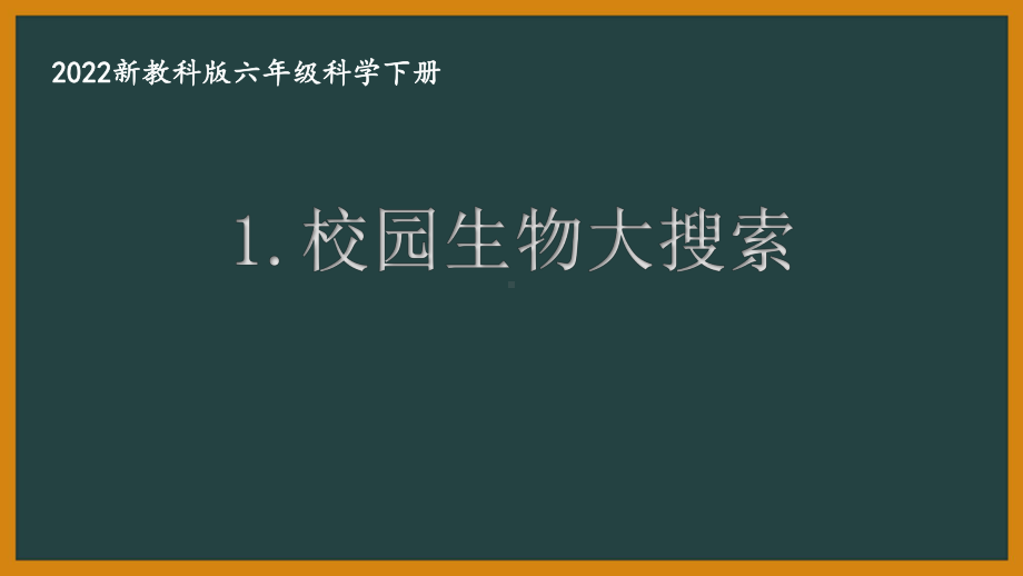 2022新教科版小学科学六年级下册第二单元第1课“校园生物大搜索”课件.pptx_第1页