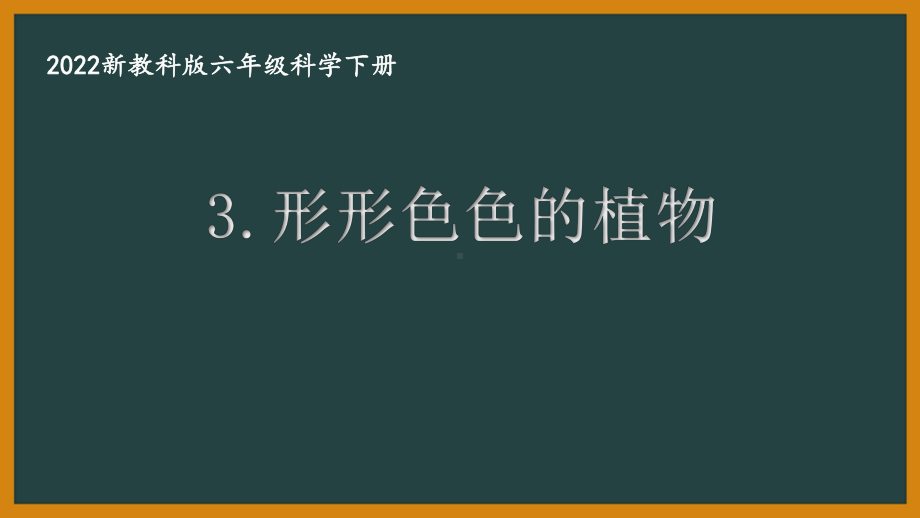 2022新教科版小学科学六年级下册第二单元第3课“形形色色的植物”课件.pptx_第1页