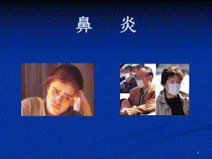 鼻炎的治疗与预防ppt课件.ppt