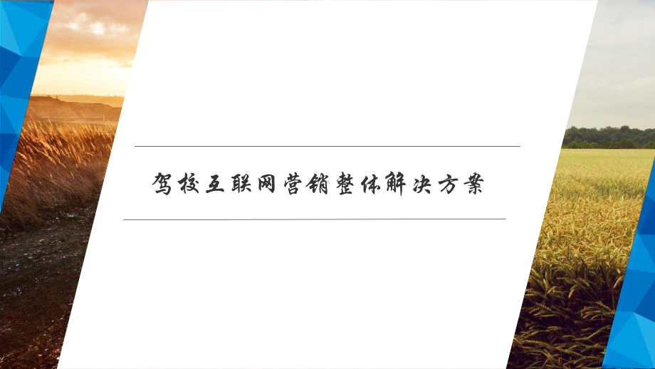 驾校互联网营销整体解决方案PPT.ppt_第1页