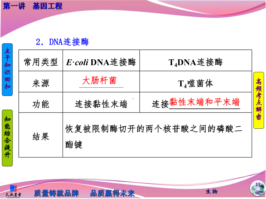 高中生物选修三全套课件ppt课件.ppt_第3页