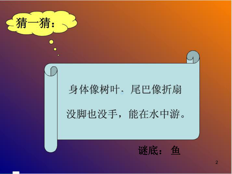 鱼儿不动了PPT课件.ppt_第2页