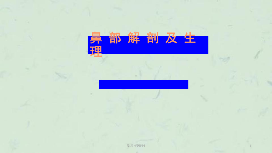 鼻部解剖及生理课件.ppt_第1页