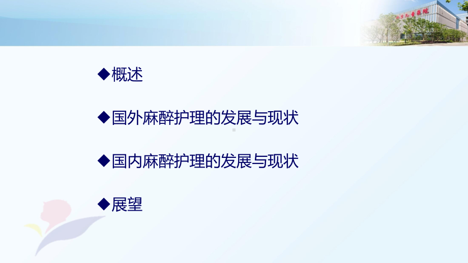 麻醉护理的现状和发展ppt课件.ppt_第2页