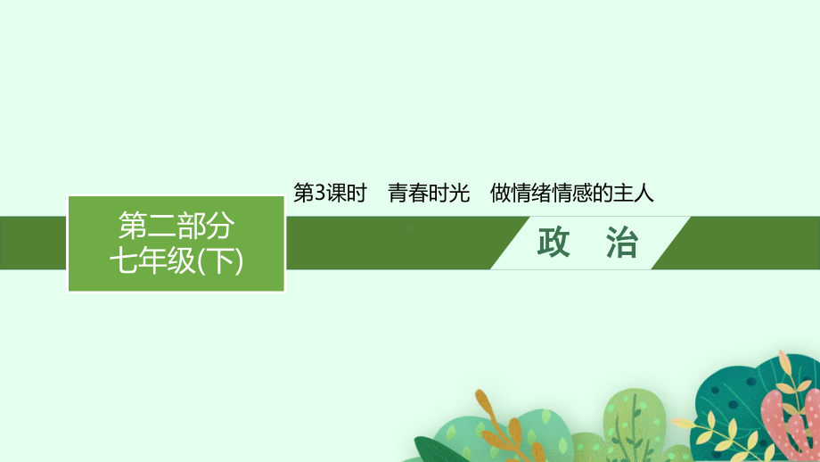 2023中考道德与法治（人教版）总复习 第3课时　青春时光　做情绪情感的主人.pptx_第1页