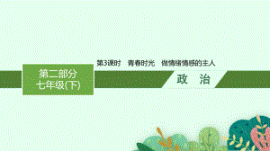 2023中考道德与法治（人教版）总复习 第3课时　青春时光　做情绪情感的主人.pptx