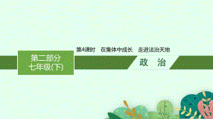 2023中考道德与法治（人教版）总复习 第4课时　在集体中成长　走进法治天地.pptx