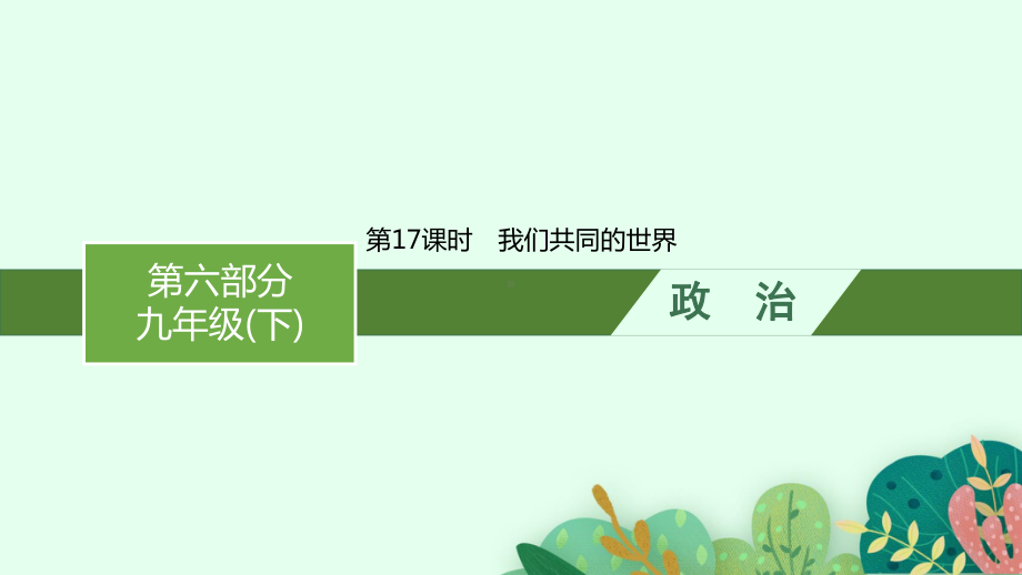 2023中考道德与法治（人教版）总复习 第17课时　我们共同的世界.pptx_第1页