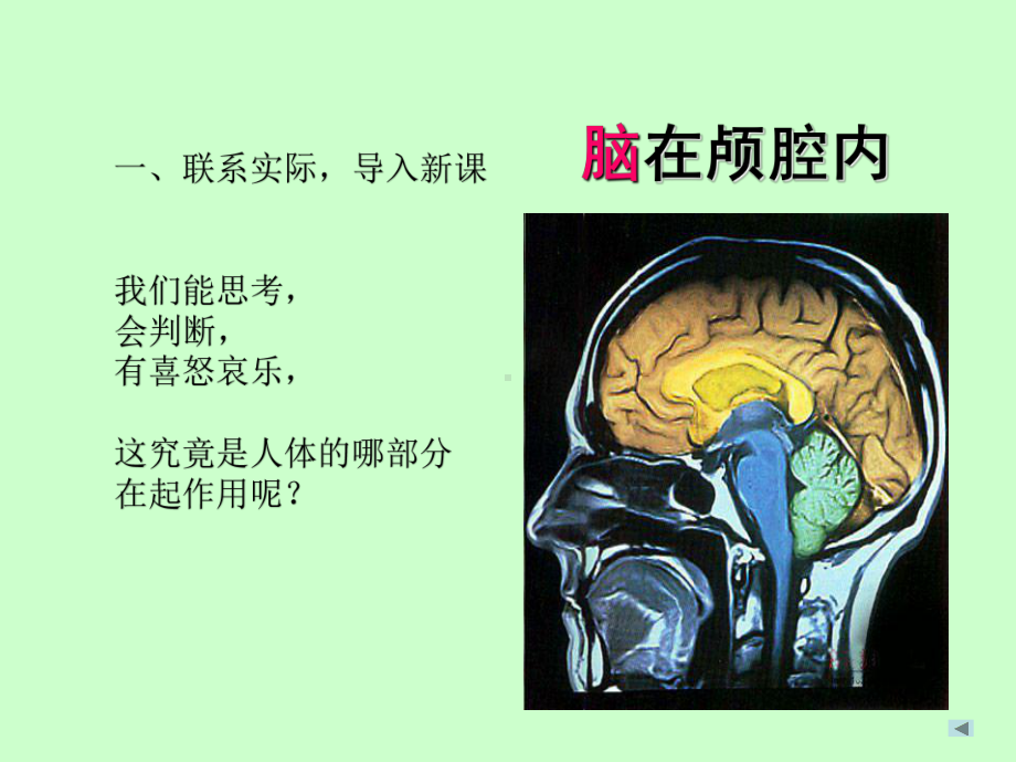 2022新青岛版（六三制）五年级下册科学 1. 我们的脑ppt课件.pptx_第2页